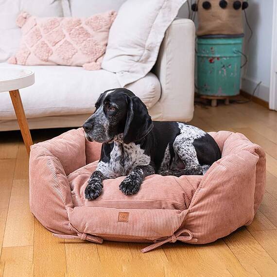 Hundenest orthopädisch beige • Ronny Cord