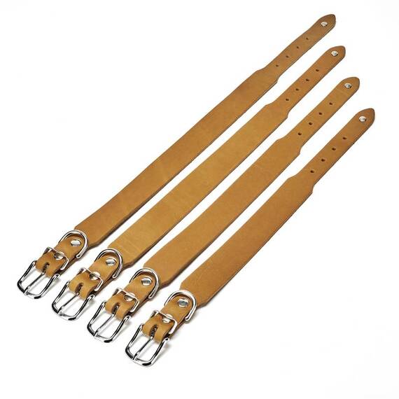Lederhalsband Hund verstellbar • cognac
