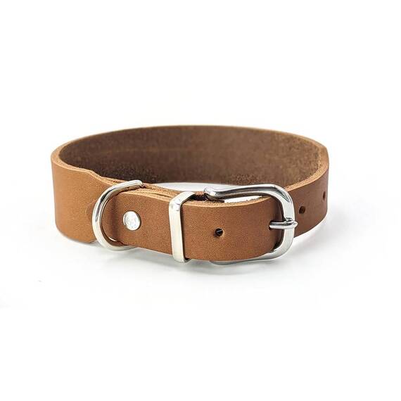Lederhalsband Hund verstellbar • cognac
