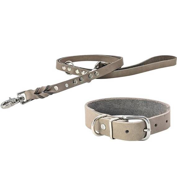 Lederhalsband Hund verstellbar • grau
