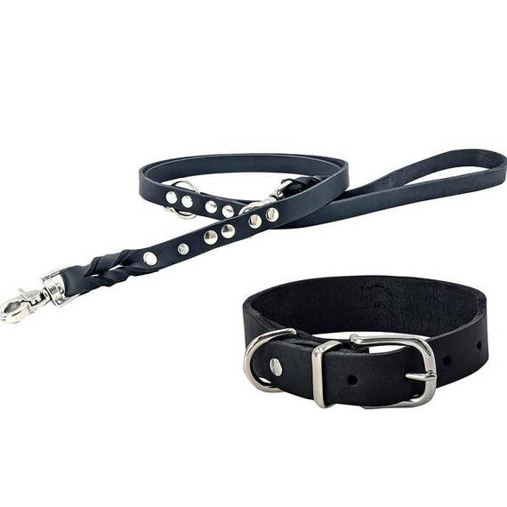 Hundeleine Leder schwarz • 2m • verstellbar