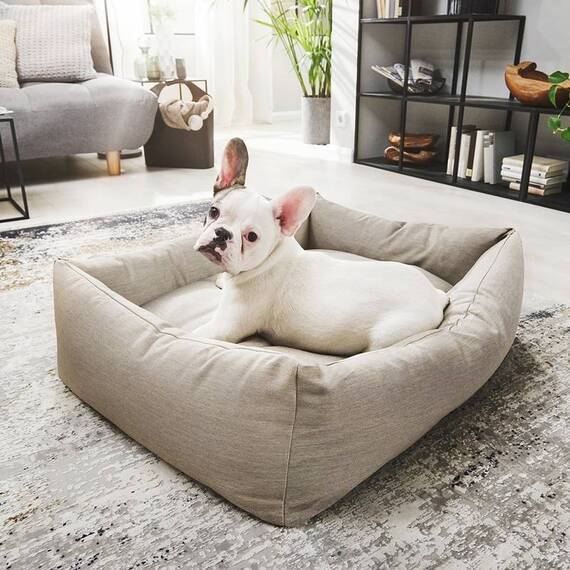 Orthopädisches Hundebett beige • SMOOTH von Laboni