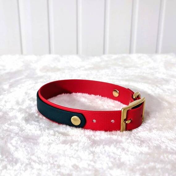 BioThane® Halsband zweifarbig • individuell • 25mm