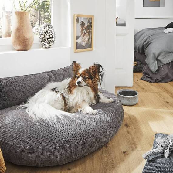 Luxus Hundebett PRADO TUDOR mit geflochtenem Rahmen von Laboni • grau