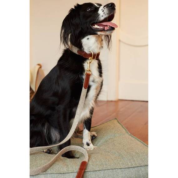 Hundehalsband Leder & Tweed graubraun "Stone"