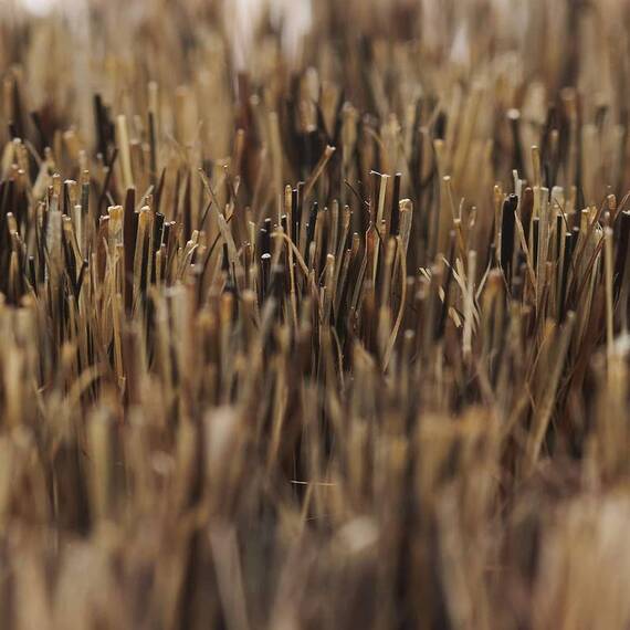 Hundebürste für kurzes Fell mit Naturborsten "Rub"