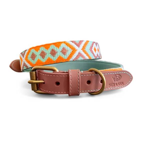 Verstellbares Halsband, gepolstert mit Neopren • mint | orange