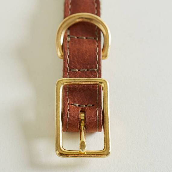 Hundehalsband Leder & Tweed braun "Beech"