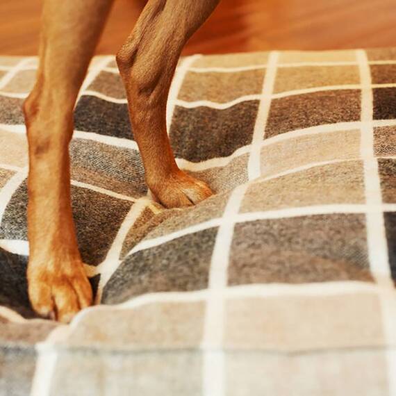 Hundekissen Karo-Tweed "Charcoal" • reine Wolle
