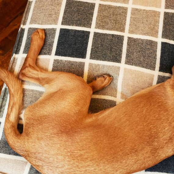 Hundekissen Karo-Tweed "Charcoal" • reine Wolle