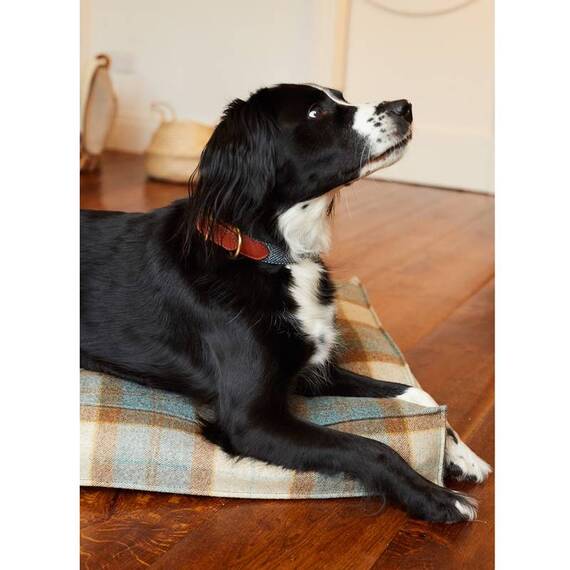 Hundekissen Karo-Tweed "Kingfisher" • reine Wolle