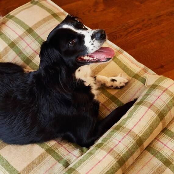 Hundekissen Karo-Tweed "Willow" • reine Wolle