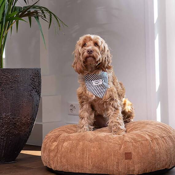 Rundes Hundekissen Cord altrosa • Roi Dusky Pink