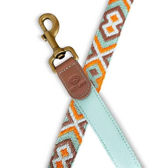 Verstellbare Hundeleine, gepolstert • mint | orange