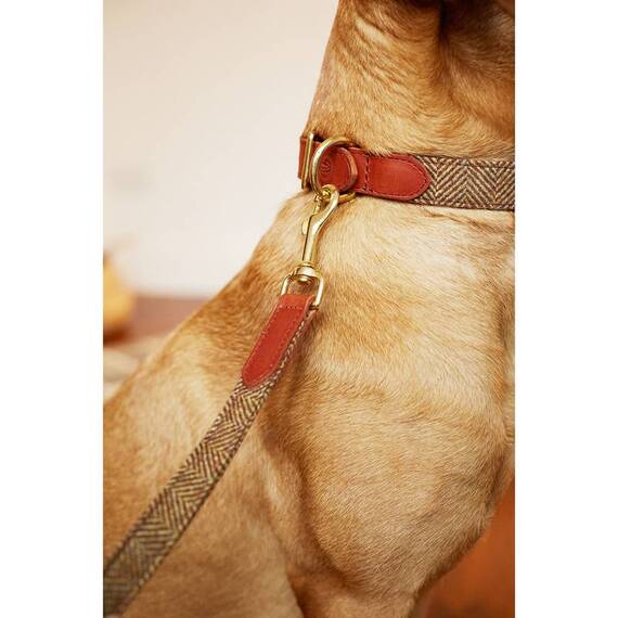 Hundeleine Tweed braun "Beech" mit Leder-Griffschlaufe