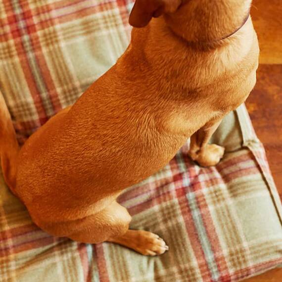 Hundekissen Karo-Tweed "Fern" • reine Wolle
