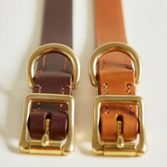 Premium Lederhalsband "Cognac"