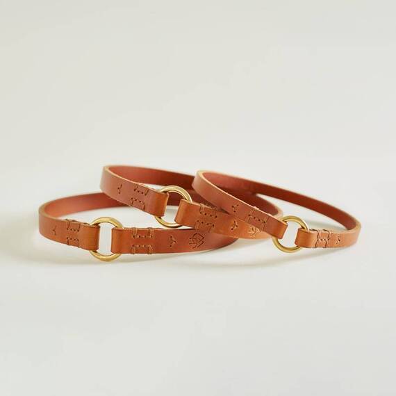 Exklusives Markenhalsband aus Leder • cognac