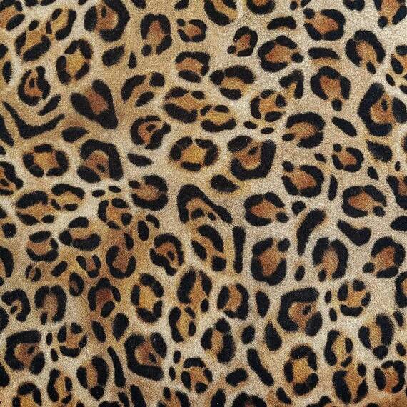 Reisedecke für kleine Hunde, konfigurierbar ★ MooiZo Dog'n'Roll