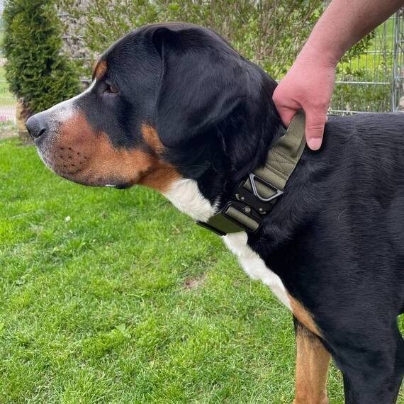 Breites Tactical Halsband mit Griff • gepolstert • neon orange