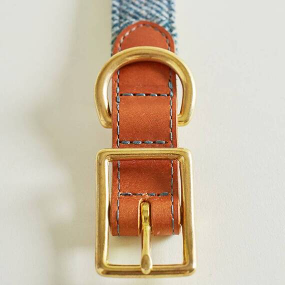 Hundehalsband Leder & Tweed blau "Magpie"