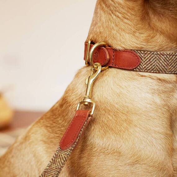 Hundehalsband Leder & Tweed braun "Beech"