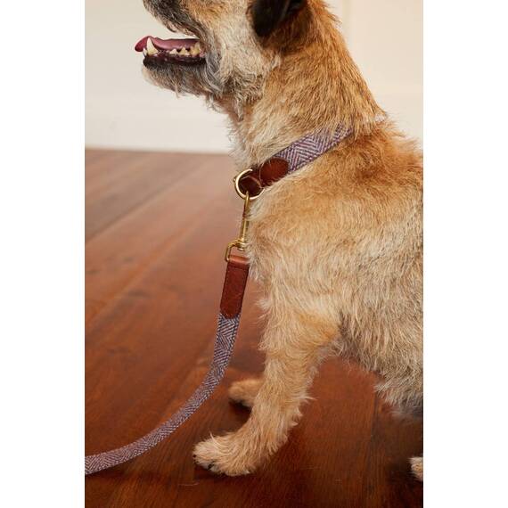 Hundehalsband Leder & Tweed violett "Hollyhock"