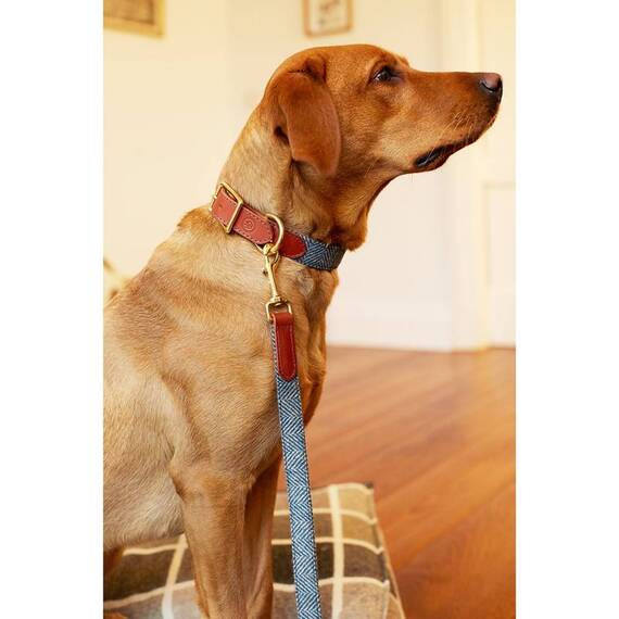 Hundeleine Tweed blau "Magpie" mit Leder-Griffschlaufe