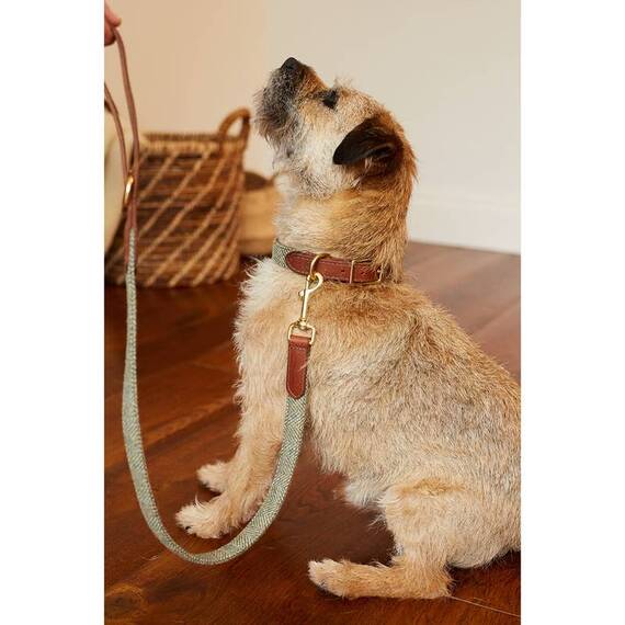 Hundeleine Tweed grün "Heather" mit Leder-Griffschlaufe