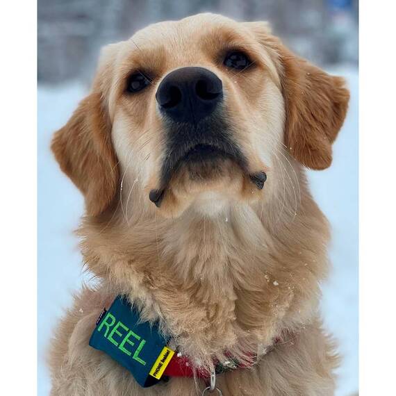 GPS Schutzhülle mit Name • wasserfest, Nylon