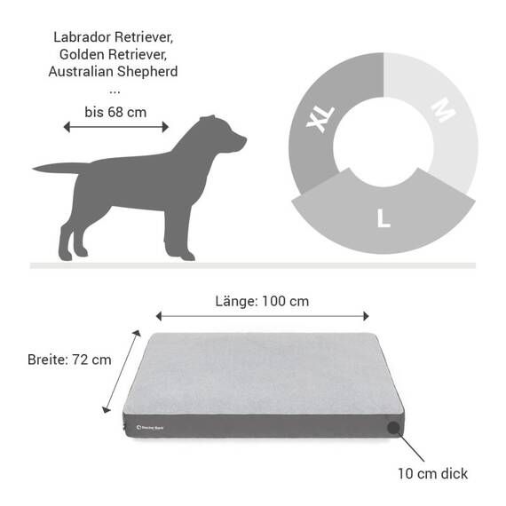 Hundekissen Doctor Bark Green Label • goldbraun