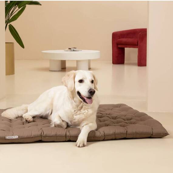 Orthopädisches Hundekissen beige • Doctor Bark® Countrykissen