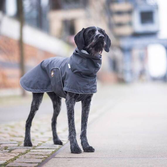 Hunderegenmantel anthrazit | khaki 'Cooper'