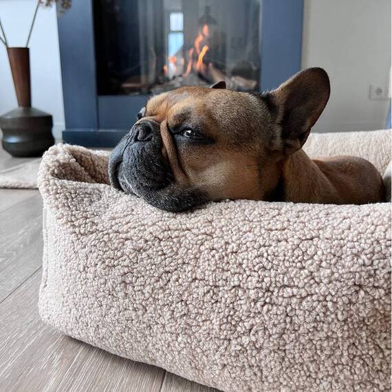 Orthopädisches Hundebett TEDDY beige • Laboni