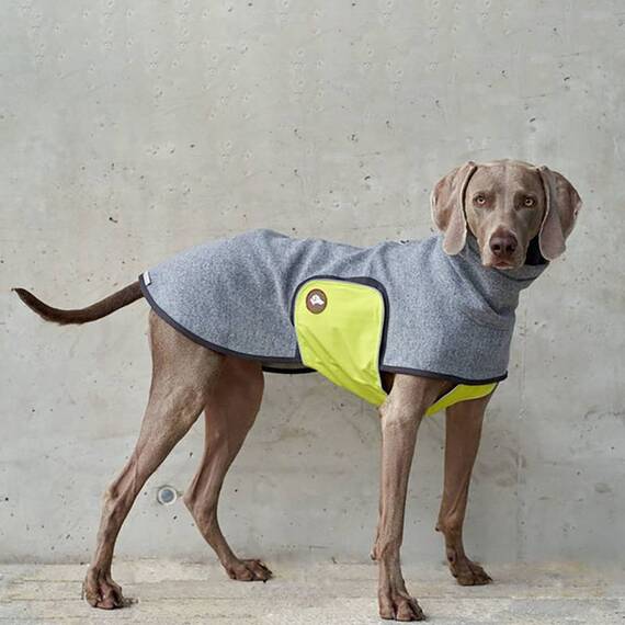 Wechsel-Brustband für Hundemantel • lemon