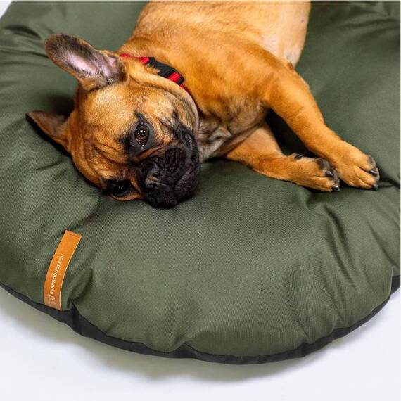 Outdoor Hundekissen, wasserfest • hellgrau • PILL