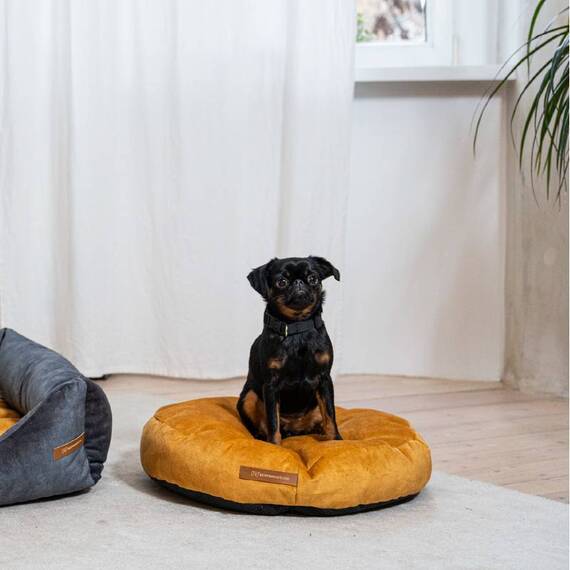 Hundekissen Samt • graphit • aus Recycling-Materialien