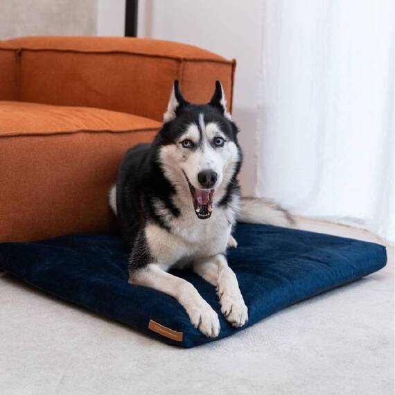 Hundekissen 'Soft' aus nachhaltigen Materialien