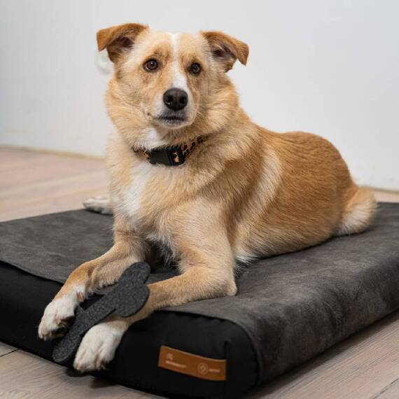 Orthopädisches Hundekissen, wasserfest • Ori • 11 Farben