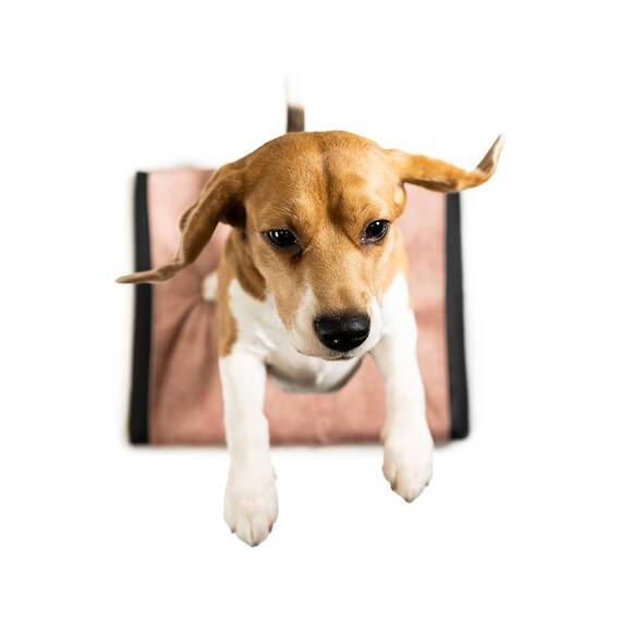 Wechselbezug für Hundekissen Ori • alle Farben