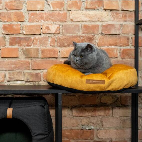 Hundekissen Samt • graphit • aus Recycling-Materialien