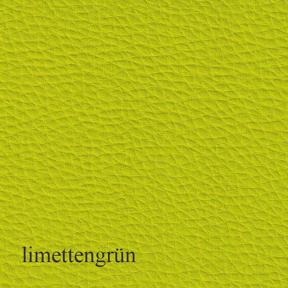 Kunstleder Hundekissen Maßanfertigung • Perfect (Gelschaum)