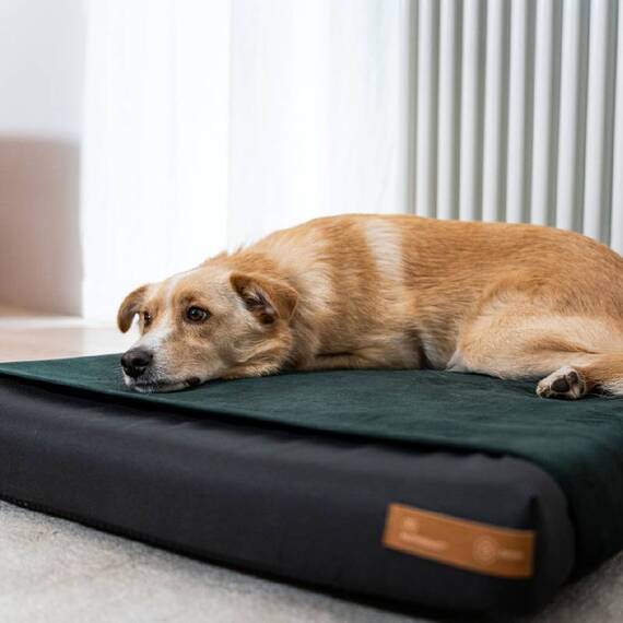 Wechselbezug für Hundekissen Ori • alle Farben