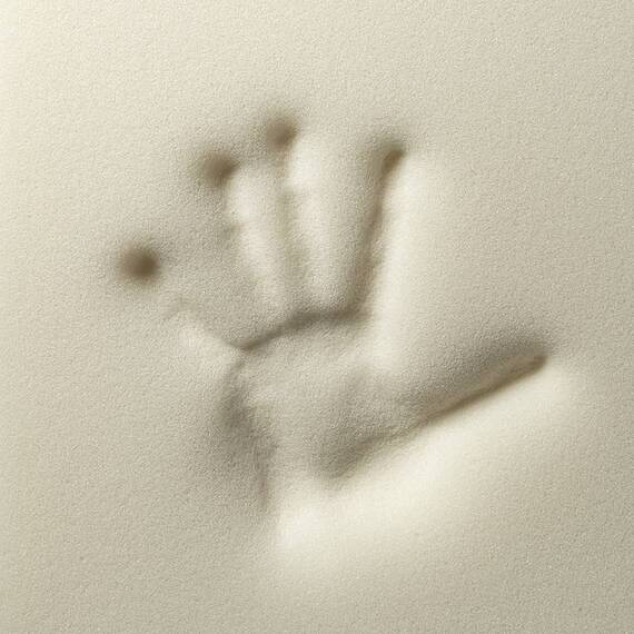 Hundebett, orthopädisch • Memory Foam • 'Otto' graphit