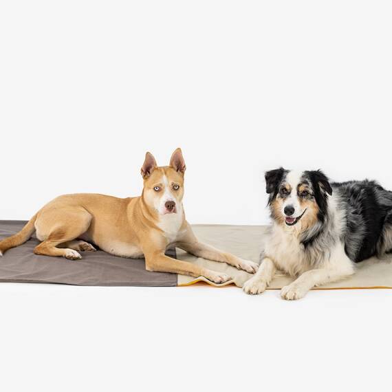 Easy Travel Pad in Braun • Softshell Reisedecke für Hunde