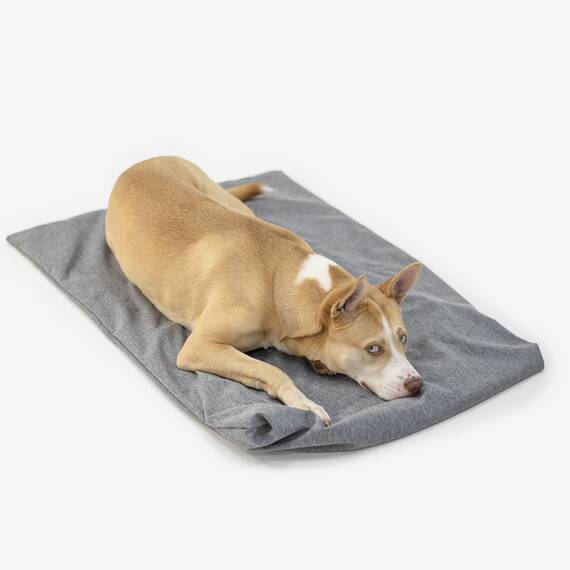 Easy Travel Pad in Grau • Softshell Reisedecke für Hunde