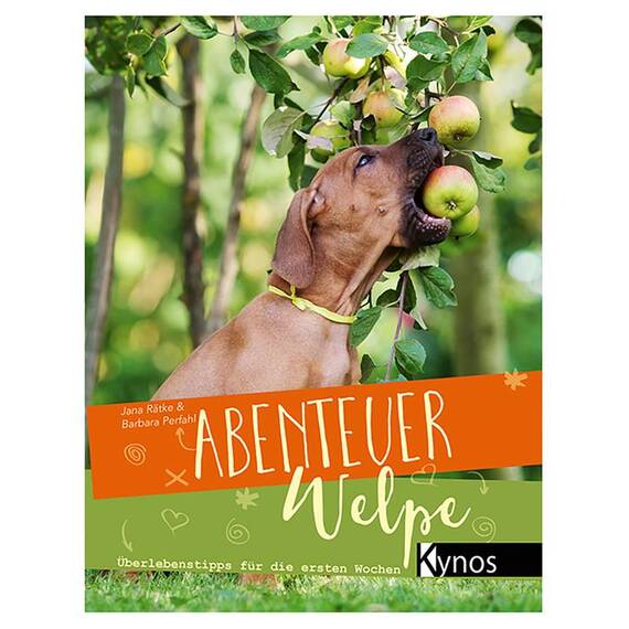 Abenteuer Welpe – Überlebenstipps für die ersten Wochen