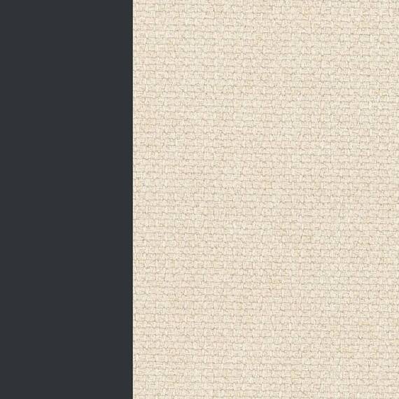 Hundetreppe dogBeam anthrazit • 2 Größen