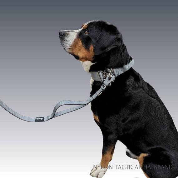 Breites Tactical Halsband mit Griff • gepolstert • Silver Grey