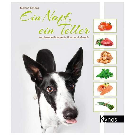 Ein Napf, ein Teller – Kombinierte Rezepte für Hund und Mensch